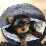 177650574_789537018659526_7821748814409576046_n