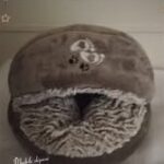 469965949_1619654892314397_6254517522966423841_n