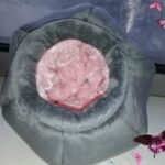 470215718_1623885661891320_7298845447373376791_n