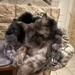 489072359_1215411823927035_7613517084859408565_n