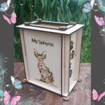 529877397_1332308905570659_3969751824040447069_n