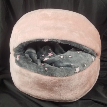 Coquille Standard rose etoilés grise