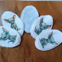 lot de 5 lingettes chatons sphynx