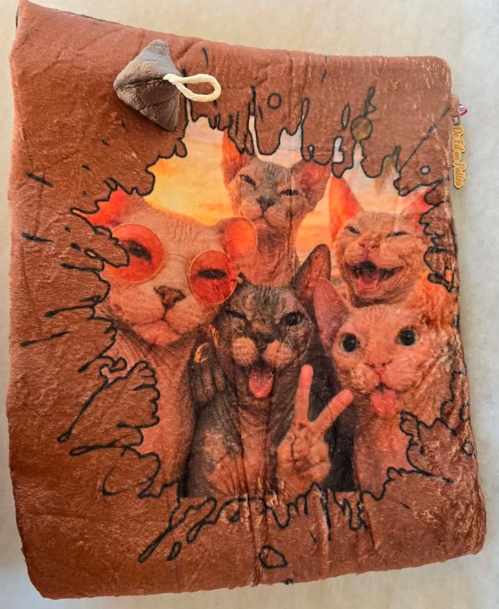TAPIS bande de copains marron